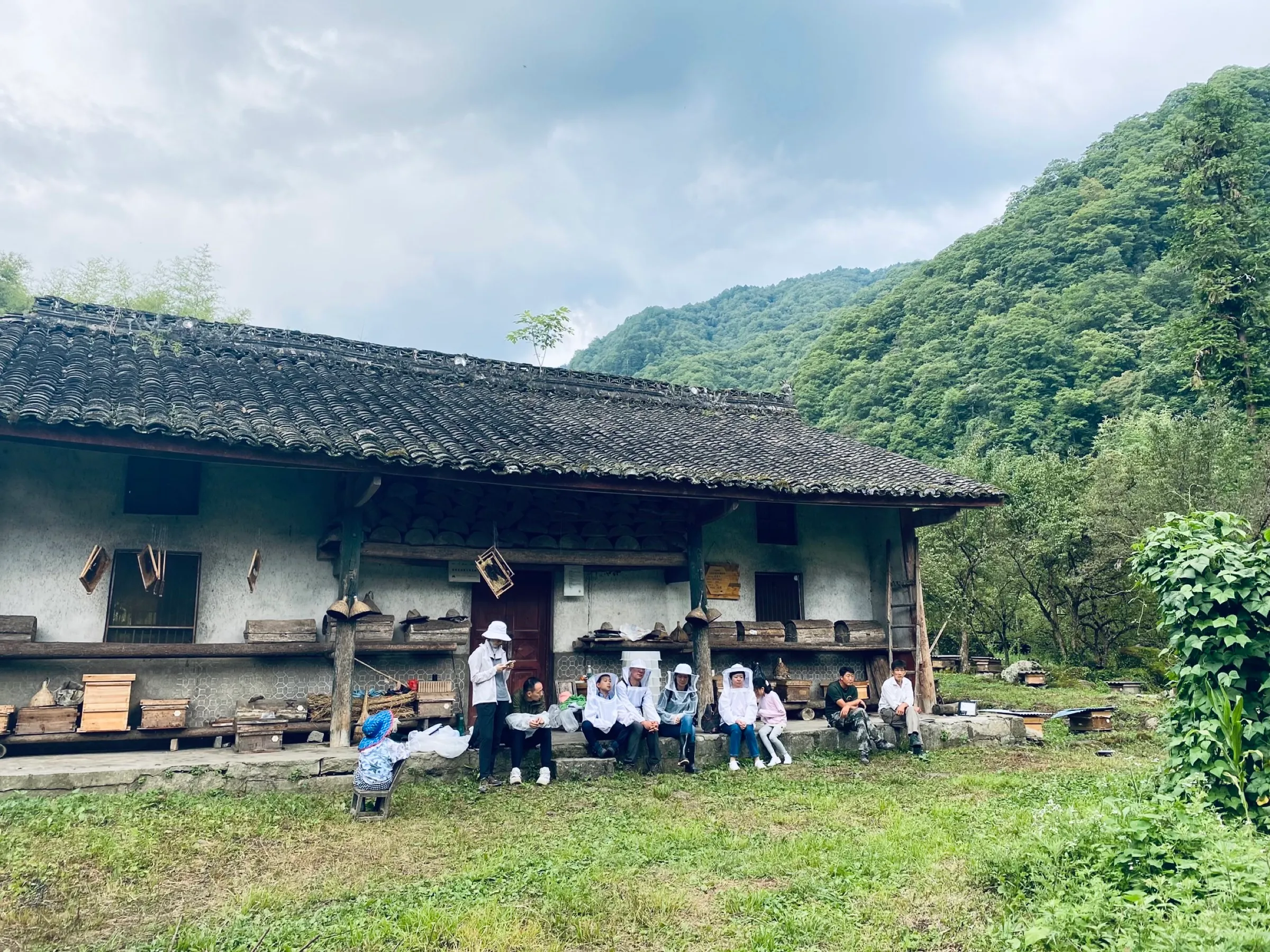 海波爷爷的蜂场与老房子